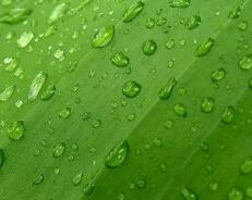 东莞网页设计制作流程是怎样的？